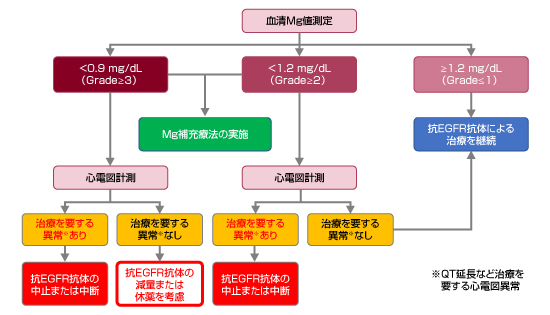 低マグネシウム血症 副作用対策講座 消化器癌治療の広場 Gi Cancer Net