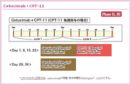 3.2.2 CPT-11{Cetuximab