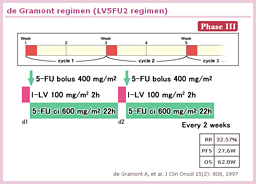 2.1 de Gramont regimen(LV5FU2 regimen)