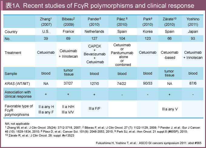 \1A@Recent studies of FcyR polymorphisms and clinical response