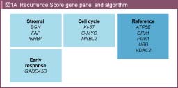 }1A@Recurrence Score gene panel and algorithm