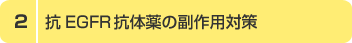 2. REGFRR̖̕p΍