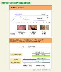 }1 Ȕ畆Q̔Ɛ鎡Õ@